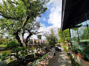KUNMING - Parc Daguan - 115